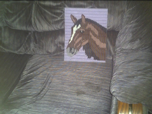 horse01.jpg